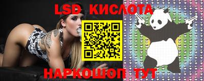 амф Камышлов