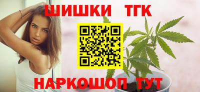 амф Камышлов